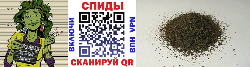 где найти   Отрадный  Бутират BDO 33% 