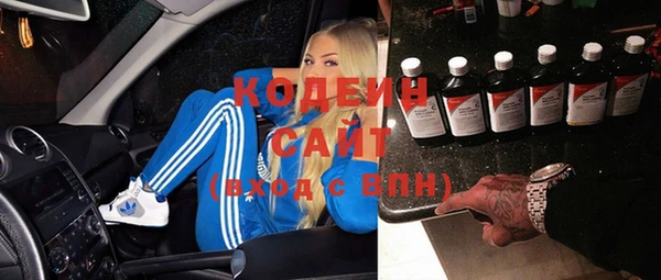 ГАЛЛЮЦИНОГЕННЫЕ ГРИБЫ Вязники