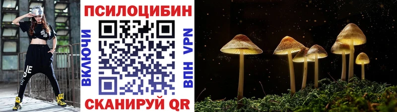 Псилоцибиновые грибы мицелий  что такое   mega как зайти  Отрадный 