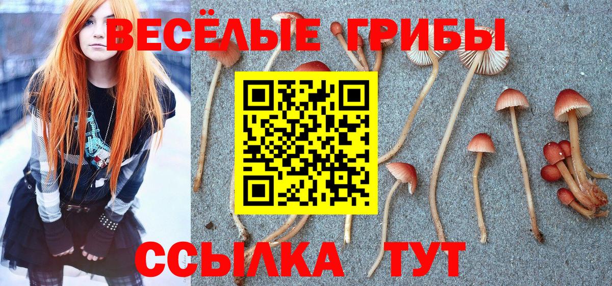 Отрадный  Галлюциногенные грибы ЛСД  магазин  наркотиков  Вход с VPN 